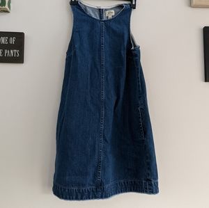 JCrew Denim Dress